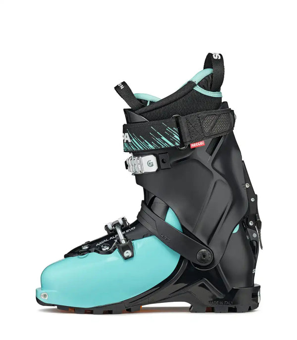 Gea (Fall 2021)