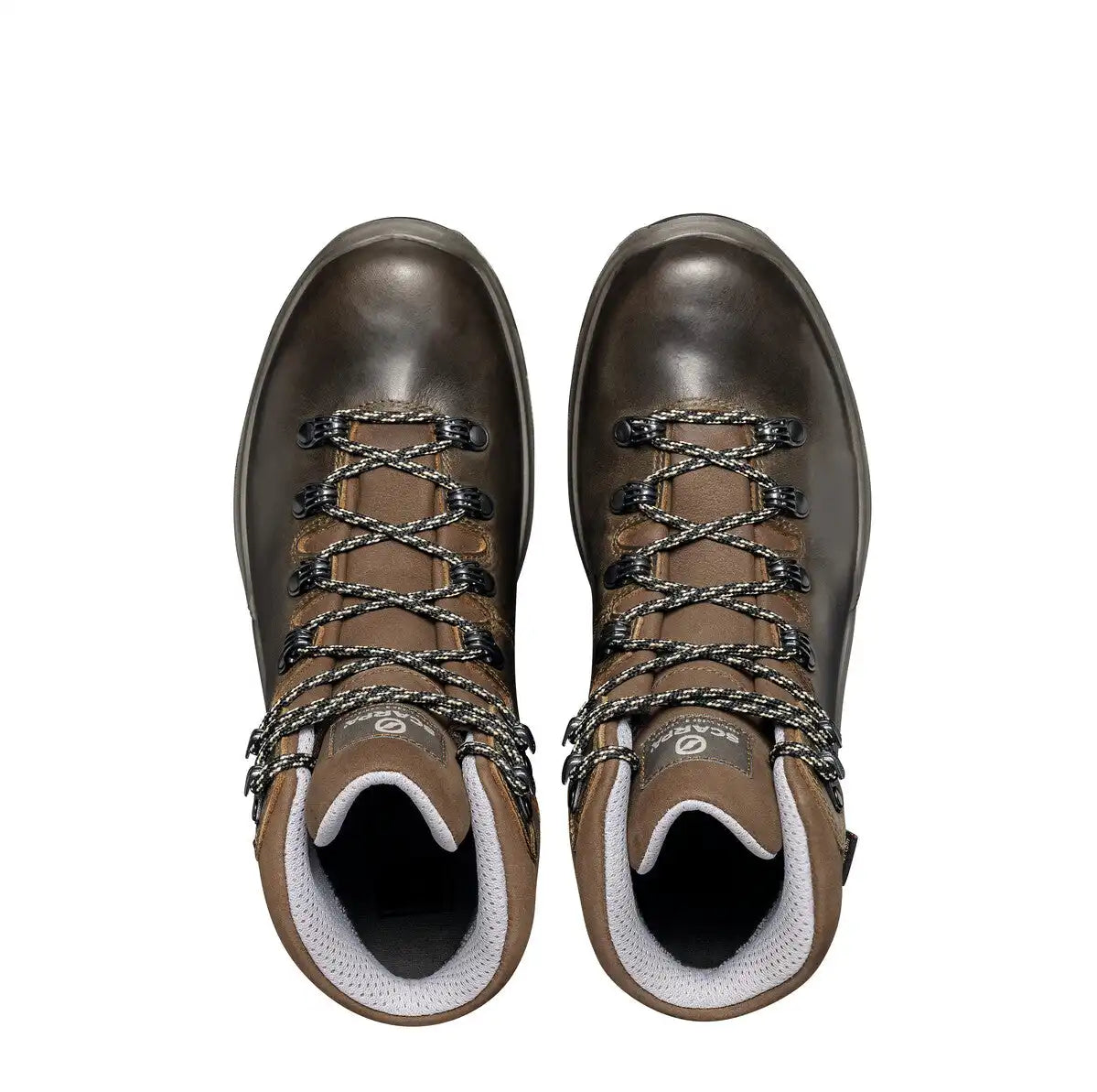 Terra GTX Women's