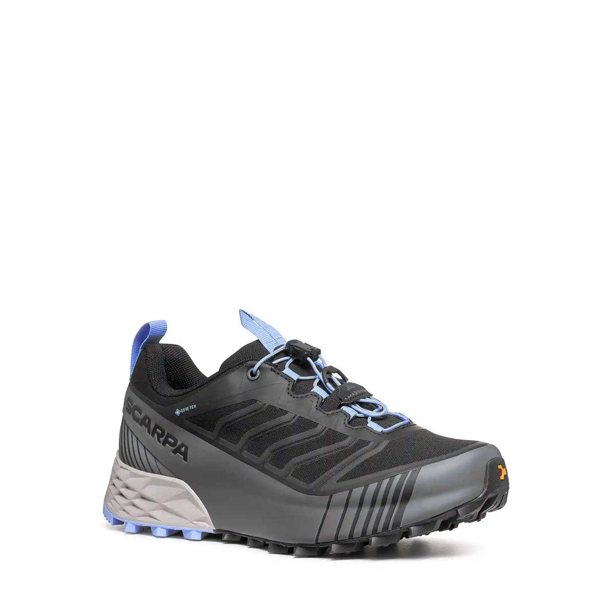 Ribelle® Run 2 GTX Women's Main image